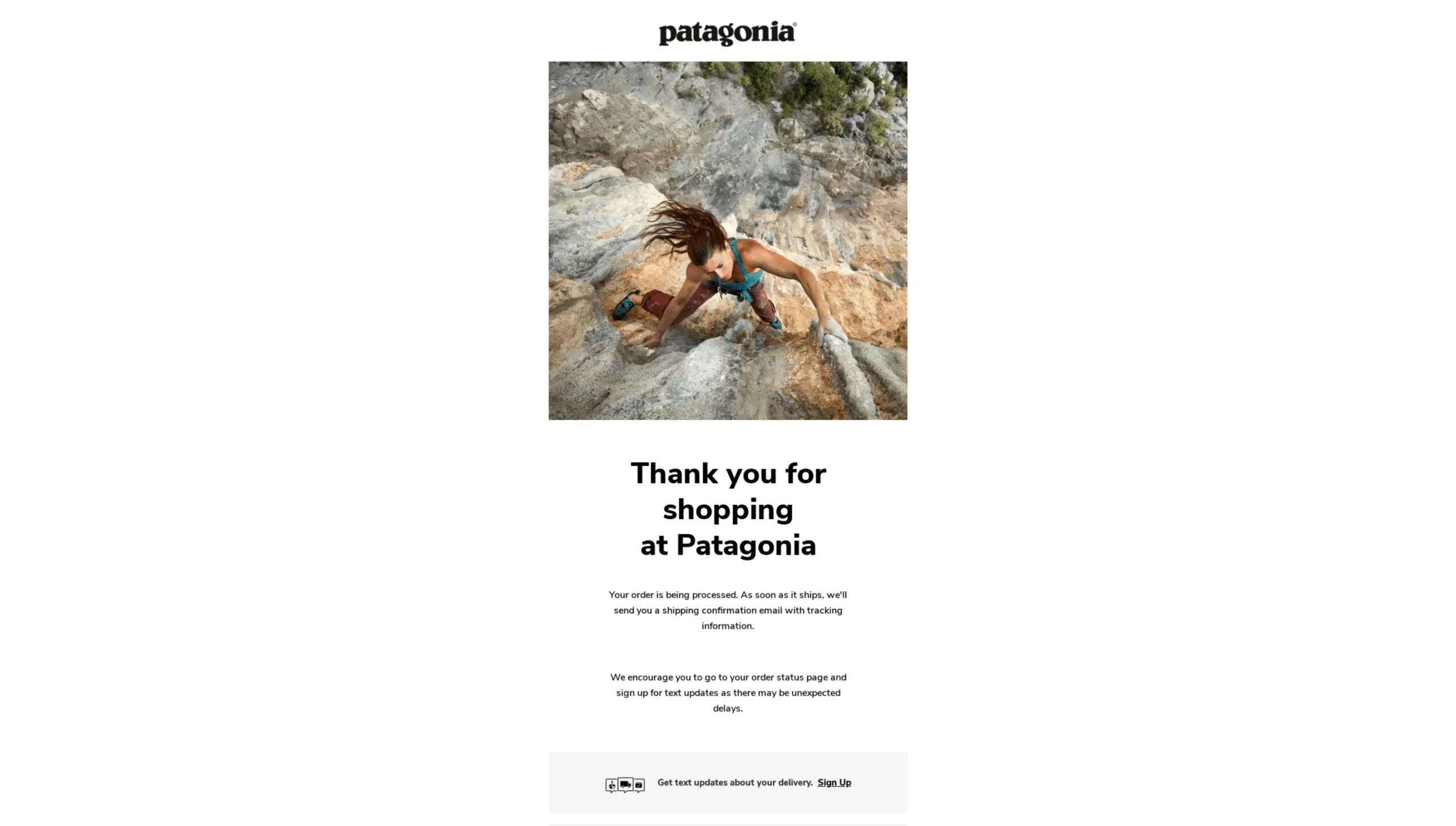 Patagonia's Order Confirmation Email