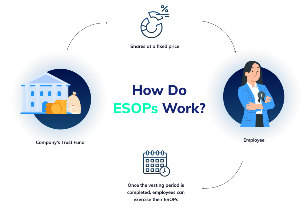 The Complete Guide to ESOPs Razorpay Payroll