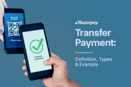 What is Transfer Payment: Definition, Types & Example