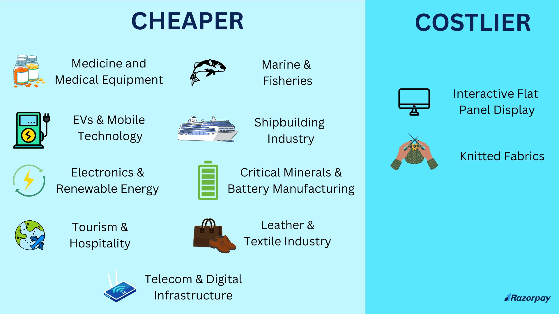 Budget 2025 Full List of Cheaper and Costlier Items